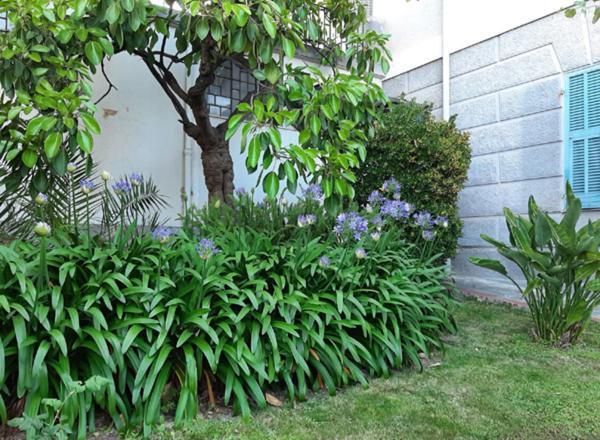 Casa Gazzano Villa Imperia Ngoại thất bức ảnh