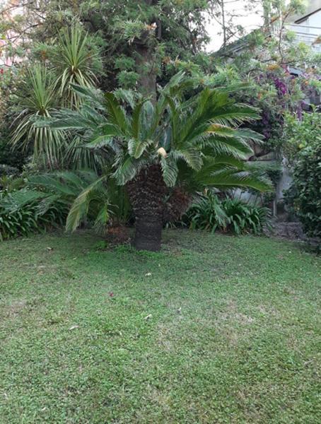 Casa Gazzano Villa Imperia Ngoại thất bức ảnh