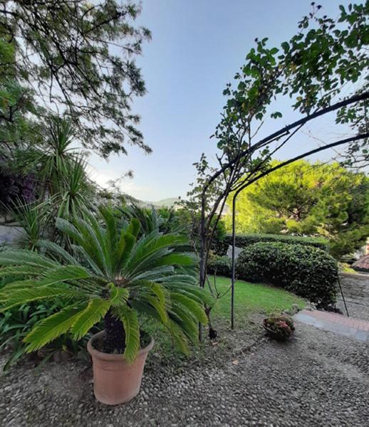 Casa Gazzano Villa Imperia Ngoại thất bức ảnh